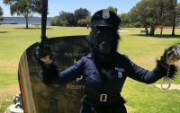 Женщина в костюме гориллы помогла поймать нарушителя в Австралии