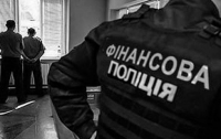 В Украине вскоре появится Финансовая полиция