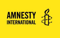 Amnesty International подыгрывает олигархам?