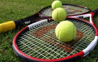 Две женщины подрались из-за сувенира теннисистки