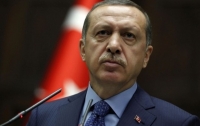 Эрдоган пообещал Украине поддержку в освобождении оккупированных территорий
