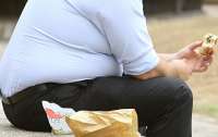 Найден новый способ предотвратить и устранить ожирение