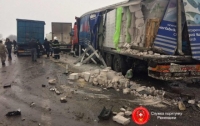 Страшное ДТП с участием 7 автомобилей произошло в Ривненской области