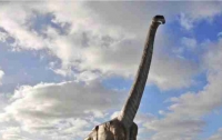 В Аргентине найдены останки самого большого в мире динозавра