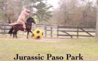 Тираннозавр сыграл в футбол на лошади (ВИДЕО)