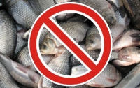 В Украине вступил в силу запрет на лов рыбы