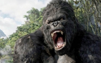 Кинг Конгу подарят вторую жизнь 