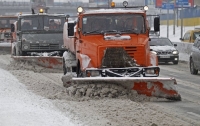 Киев ежедневно тратит 1,7 млн на уборку снега, - СМИ