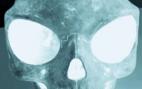 В Дании обнаружили череп инопланетянина