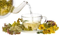 Травяные чаи помогут стать здоровее