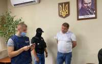 ГБР задержало главного лесника Запорожской области (видео)