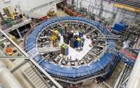 Ученые CERN заявили об возможном открытии пятой силы природы