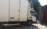 Летальный наезд: под Тернополем грузовик задавил ребенка на глазах у матери