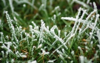 На Украину надвигаются заморозки – местами до -5