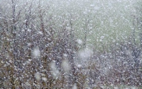 На Украину движется еще один снежный циклон