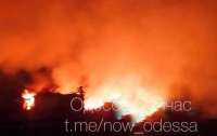 Окупанти завдали ракетного удару по Одесі