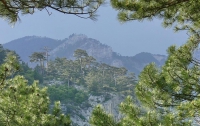Крымские горы и леса сделают привлекательными для изнеженных туристов