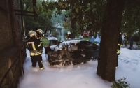 В Киеве во дворе дома подожгли авто (видео)
