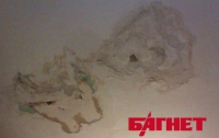 СЭС не замечает гниющий потолок в «Пузатой хате» (ФОТО)
