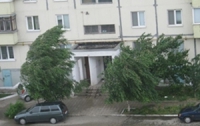 На Луганщине шторм сорвал крыши со 102 домов и обесточил свыше 2 тыс хозяйств