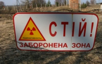 Пока Чернобыльскую зону не лишат ее статуса, сажать там ничего нельзя, - эколог 