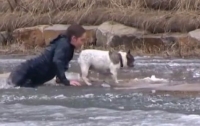 Канадец прыгнул в ледяную воду спасать собаку (видео)