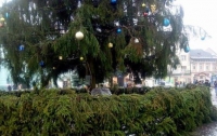 В Мукачево с главной елки украли все игрушки