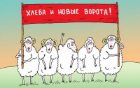 В новоизбранном Львовском облсовете стало меньше Козаков и больше Баранов