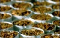 Налоговики Львовщины изъяли контрабандные сигареты на 2 млн