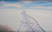От Антарктиды откололся айсберг размером в две Москвы