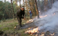 На территории Украины запрещено ходить в лес под страхом тюрьмы