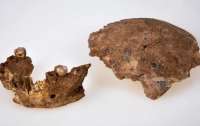 В Израиле нашли останки человека, жившего 140 тысяч лет назад: этот вид неизвестен науке